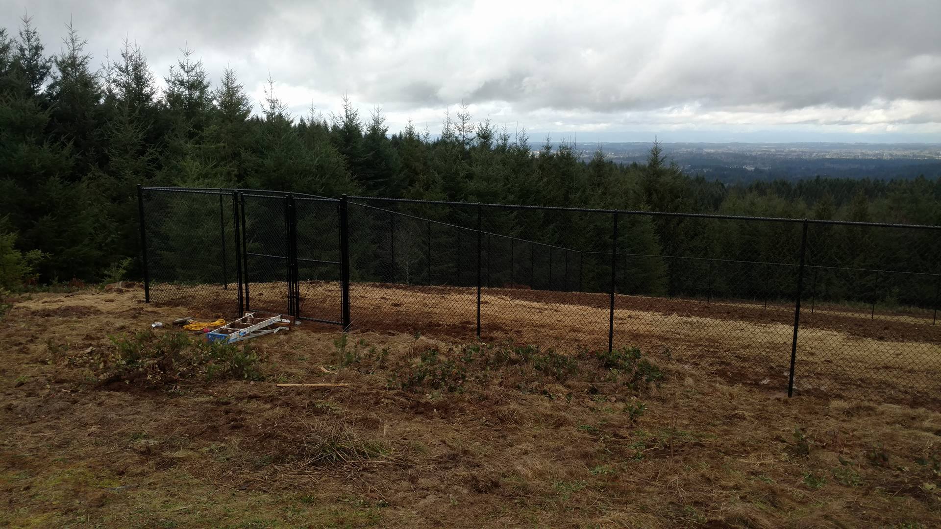 Commercial Fence