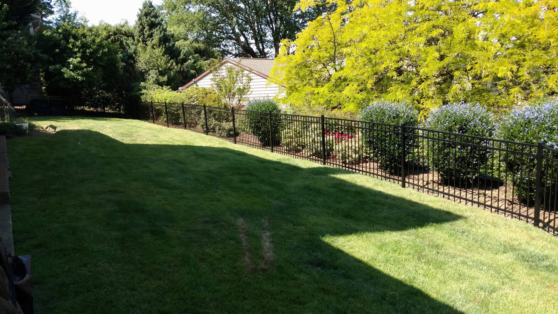 Residential Fence
